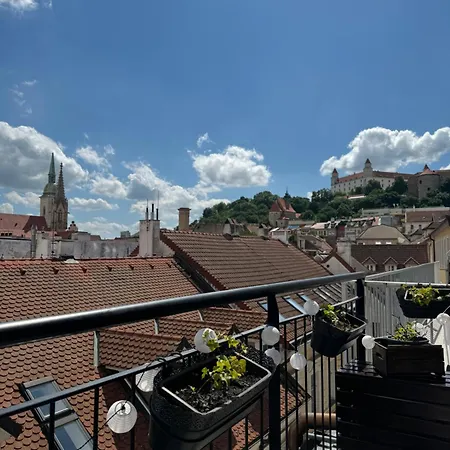 Bastova, Stela & Mia *